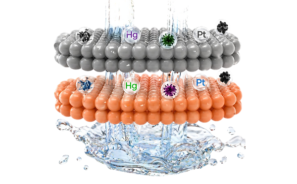 Solution Image